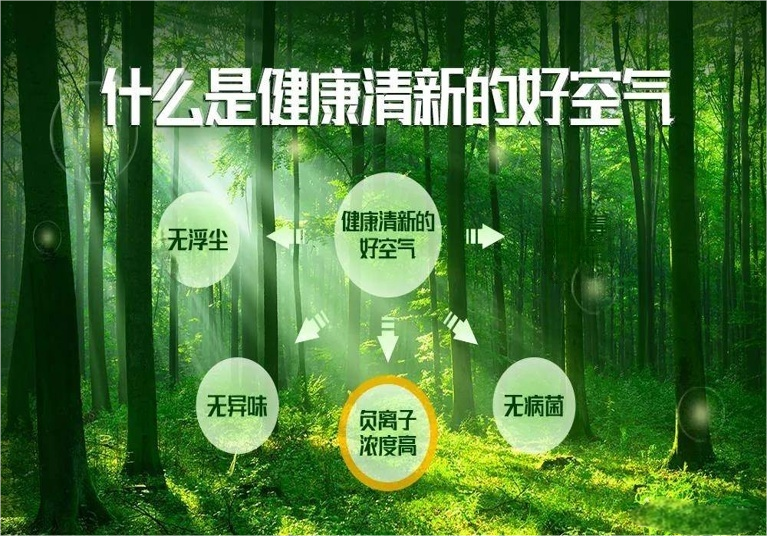 佐伊黑科技：负氧离子重塑健康呼吸