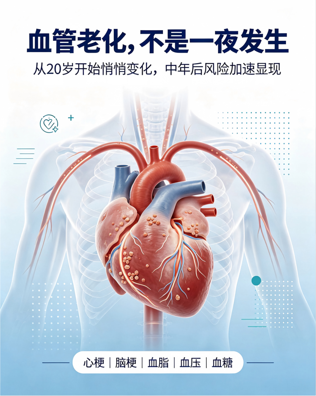 血管堵不堵，不看年龄看习惯